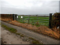S3275 : Field Gate by kevin higgins