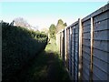 Footpath through Binbrook