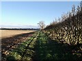 Path to Binbrook