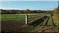 Path from Challabrook Farm