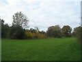 Tutbury Avenue open space