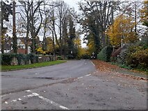 TL2515 : New Road at the junction of Harmer Green Lane by David Howard