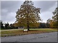 Harmer Green Lane, Burnham Green