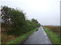 Minor road, Roxburgh Moor