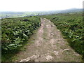 Welsh Coast Path on Mynydd Tir-y-Cwmwd