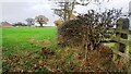 Field on NE side Brisco Road SE of High Woodbank houses