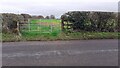 Field gateway on SW side of Brisco Road NW of Brisco Farm