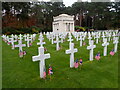 SU9456 : American Battle Monuments Commission Veterans Day at Brookwood by Marathon