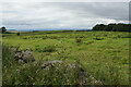 Fields for grazing near Roddlesworth