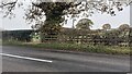 Field gateway on north side of Newbiggin Road east of Green Marsh