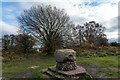SJ9818 : Glacial Boulder and Trigpoint, Cannock Chase by Brian Deegan