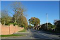 Road near Stockton Hall Hospital