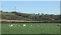 Grazing and hillside to the north of Porthcawl