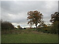 Croome Park and Croome Court