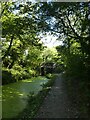 Monmouthshire and Brecon Canal east of Pontymoel