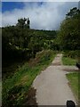 NCN49 by Monmouthshire and Brecon Canal north of Usk Road