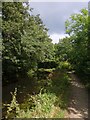 NCN49 by Monmouthshire and Brecon Canal