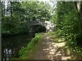 Footpath bridge over Monmouthshire and Brecon Canal