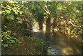 Tiny waterfall, Bradley Ponds