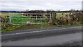 NY4150 : Field gate on east side of rural road north of Low Burthwaite Farm by Roger Templeman
