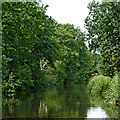 Coventry Canal near Fradley in Staffordshire