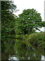 Coventry Canal near Fradley in Staffordshire