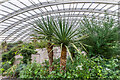 SN5218 : Inside the Great Glasshouse by Ian Capper