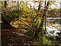 Autumn colours, Kilmardinny Loch