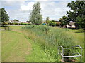 A marshy pond by Wylington Road