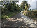 The minor road near Trenhayle Farm