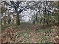 Triangulation Pillar, Backbury