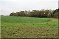 Field on the edge of Wells