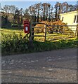 Queen Elizabeth II postbox, Llandegveth