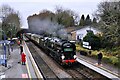 The British Pullman at Shalford