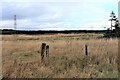 NS4357 : Wetland at Plymuir by Alan Reid