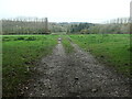 SU4223 : Farm track, near Hawstead Farm by Christine Johnstone