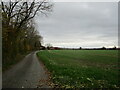 Roadway to Pincox Farm, Naunton Beauchamp