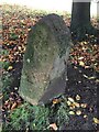 Old Boundary Marker in Commondale village