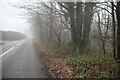 Footpath into Stubbs Wood