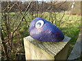 Googly-eyed pebble on a fence post at Forton Heath