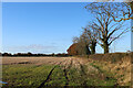 Field off Low Moor Lane