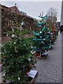 Christmas tree display 2021, city walls, Princesshay, Exeter