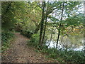 Perimeter path, Hiltingbury Lake