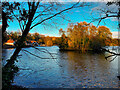 SD8303 : The Lake, Heaton Park by David Dixon