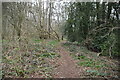 Footpath by River Line