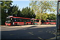 Buses, Ealing