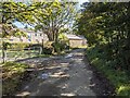 The minor road by Treven Farm