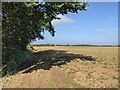 SW5835 : A bridleway on the edge of the field by Calais Road by David Medcalf