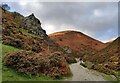 SO4395 : Mott's Road ascending the Carding Mill Valley by Mat Fascione