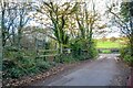 Bovey Tracey : Country Lane